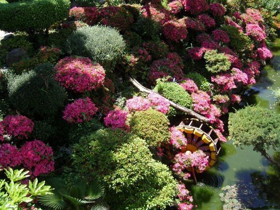 2015-0603 학교 (1).JPG