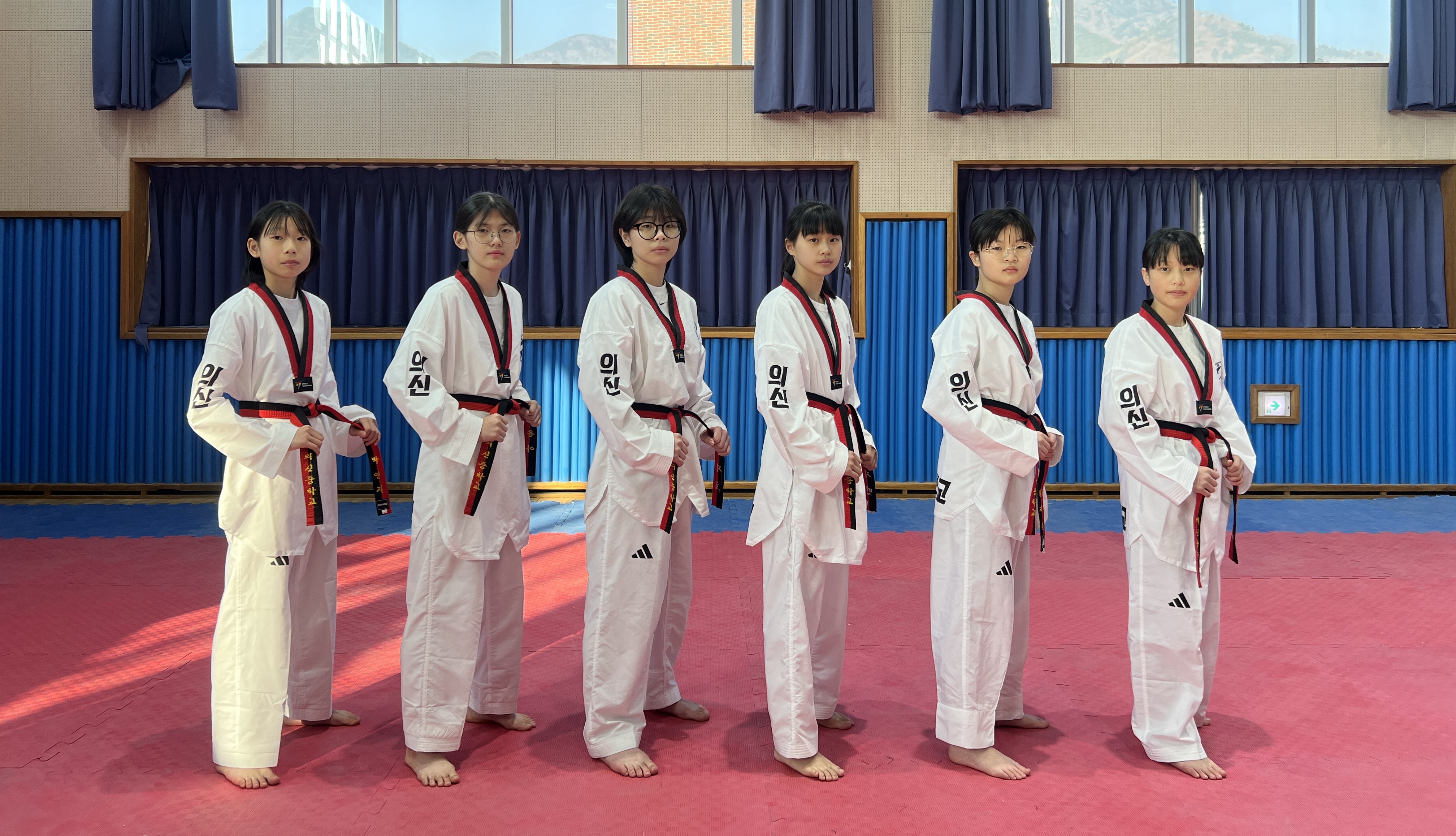 교기 : 태 권 도